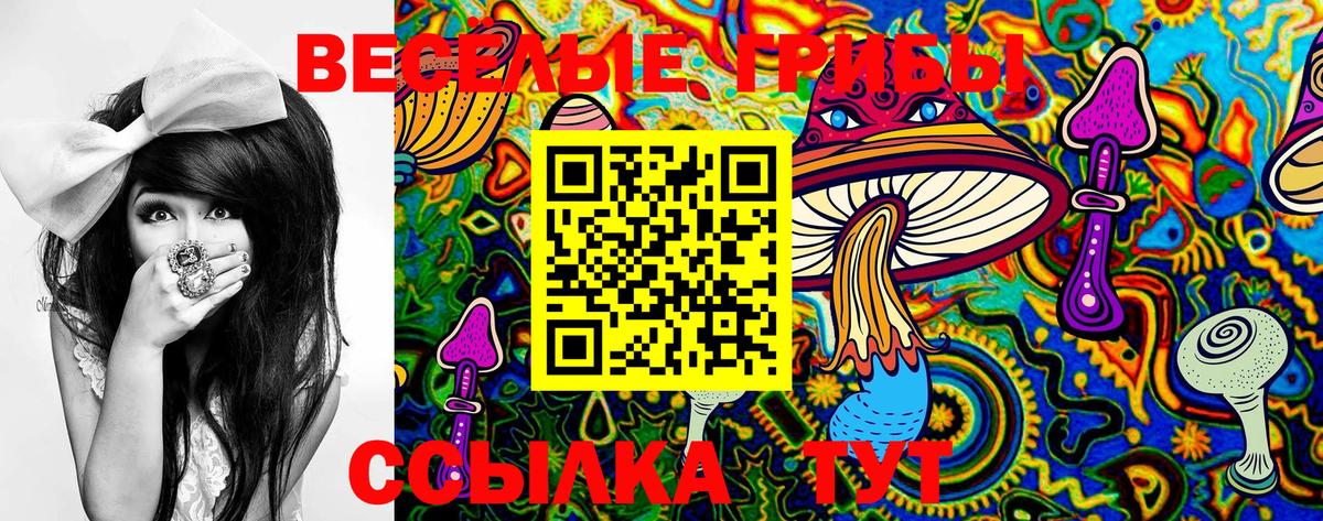 Кубинка  Псилоцибиновые грибы ЛСД  Вход с VPN  купить наркотики сайты  Галлюциногенные грибы Magic Shrooms 